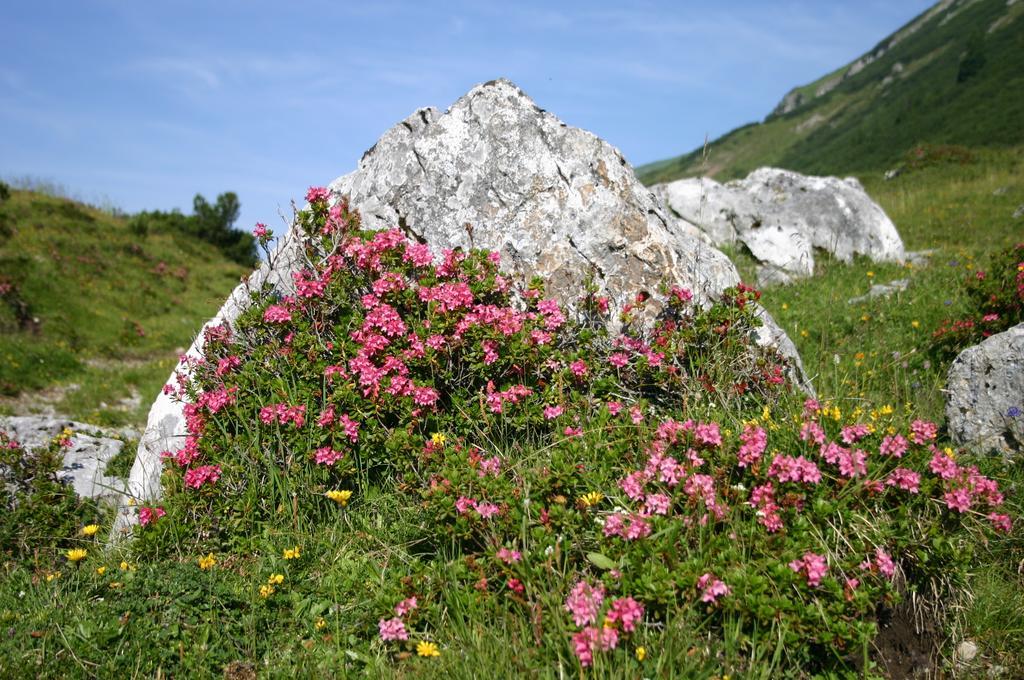 Gasthof "Zur Gemuetlichkeit" Bschlabs Esterno foto
