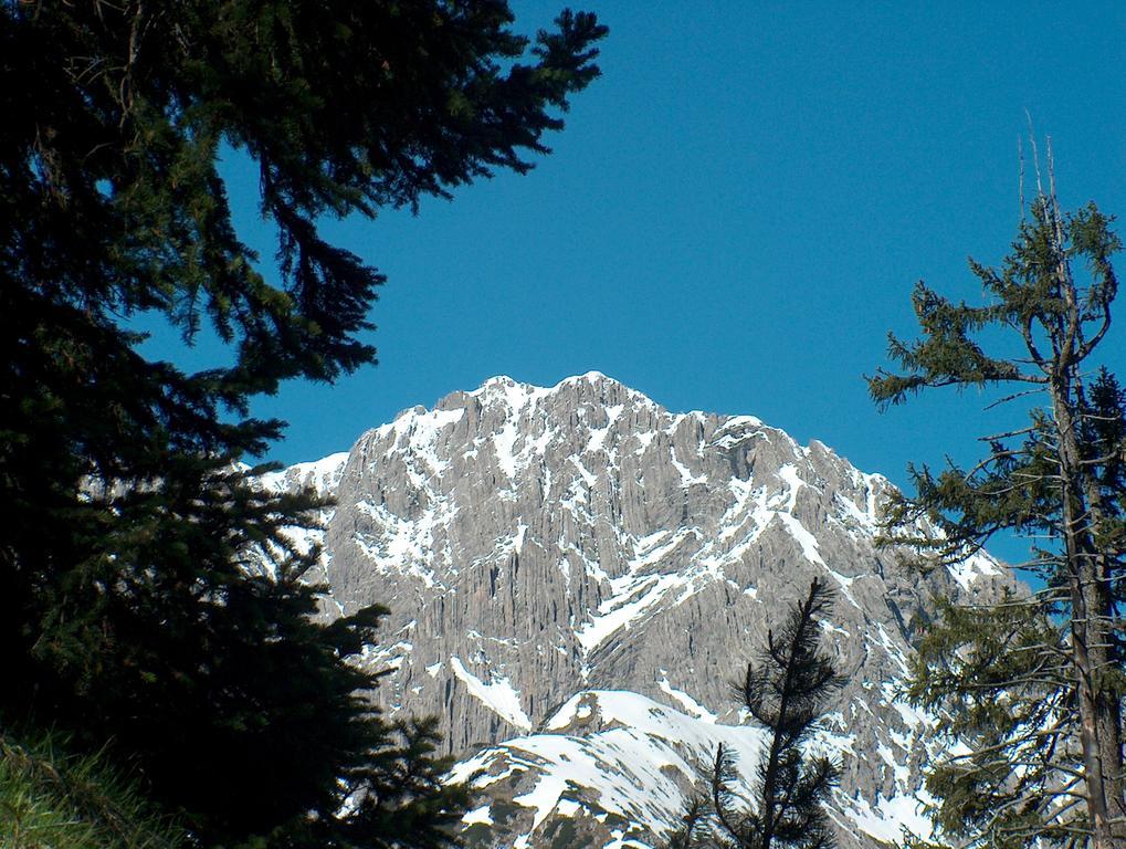 Gasthof "Zur Gemuetlichkeit" Bschlabs Esterno foto